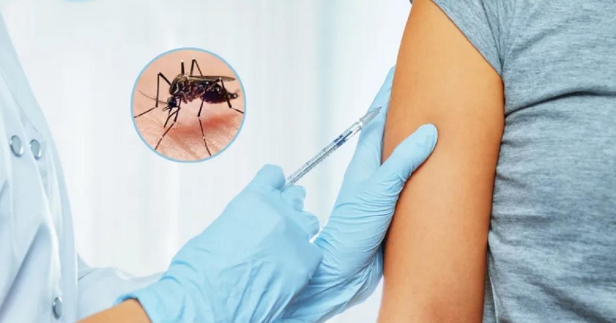 Ampliacutean la vacunacioacuten contra el dengue hasta los 59 antildeos en Capital y Banda