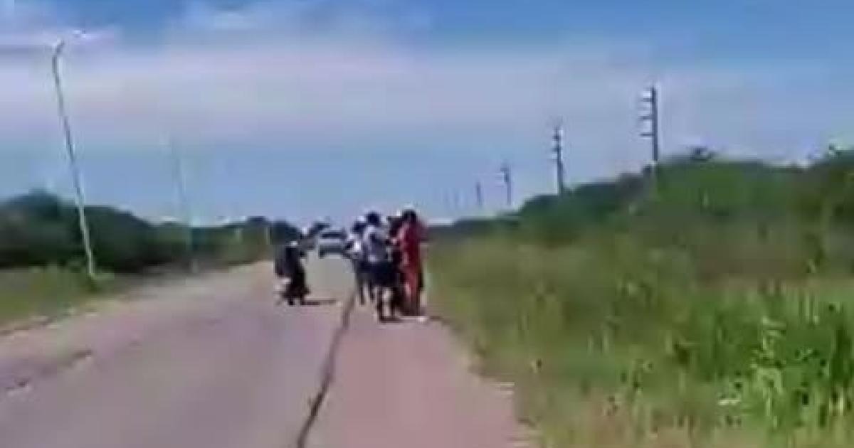 Policiacuteas y protectores de animales rastrean a Diyi Gimeacutenez por maltrato animal