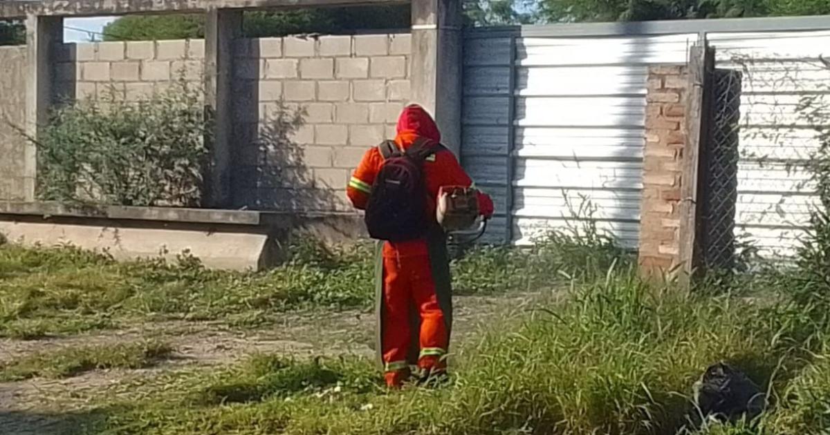 La Municipalidad continuacutea con las tareas de limpieza y mantenimiento del  Parque Aguirre