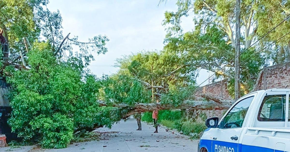 La Municipalidad trabajoacute en el retiro y despeje de un eucalipto que cayoacute en el barrio Huaico Hondo
