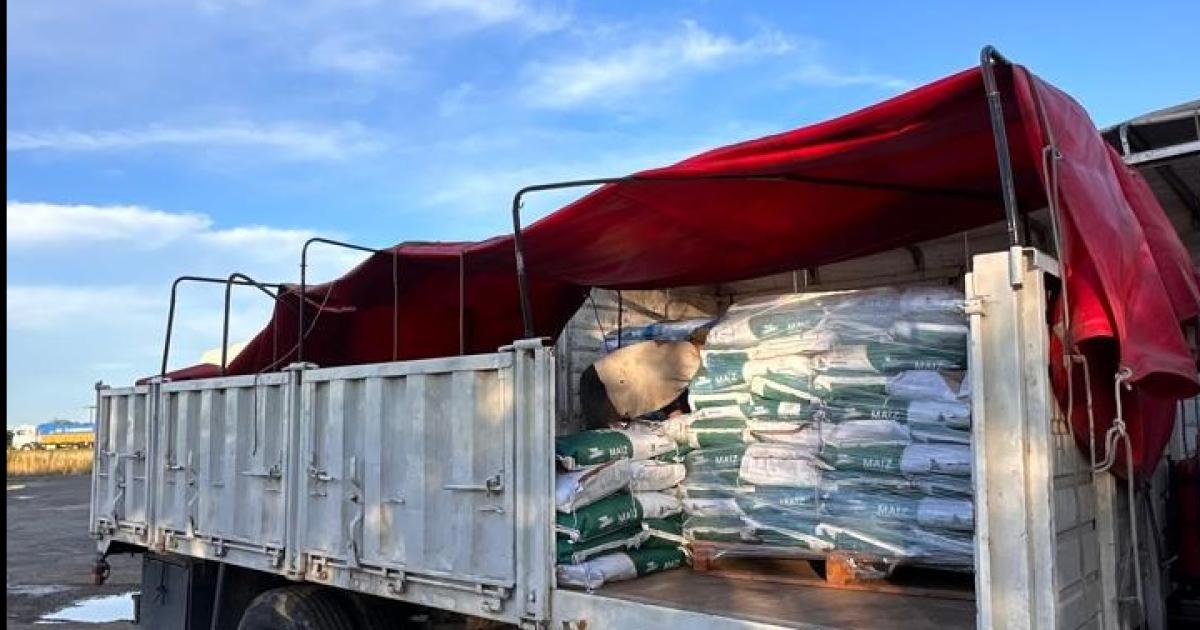 Comerciante denuncioacute estafa de  28000000 con venta de semillas a intermediario rosarino