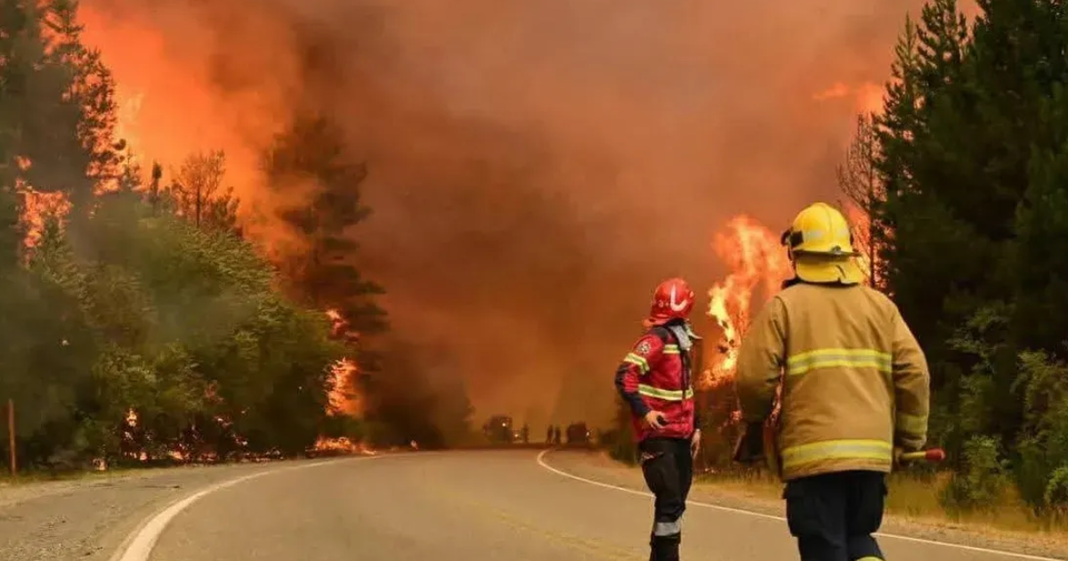 Incendios en Chubut- el fuego arrasa con miles de hectaacutereas de bosque nativo y hay maacutexima alerta