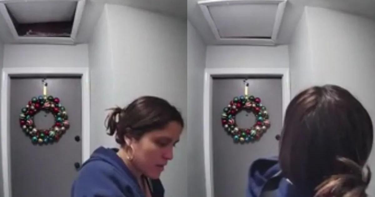 Una caacutemara de seguridad registroacute una extrantildea presencia en un departamento y asustoacute a todos
