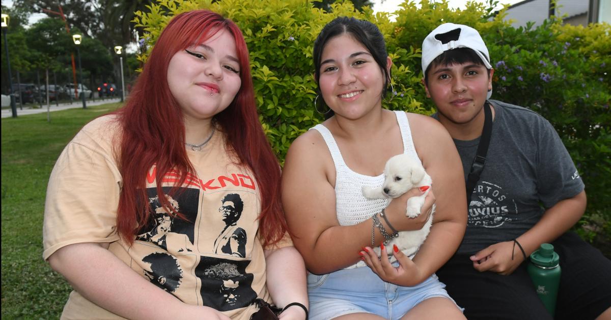 TARDES DE VERANO EN EL PARQUE 