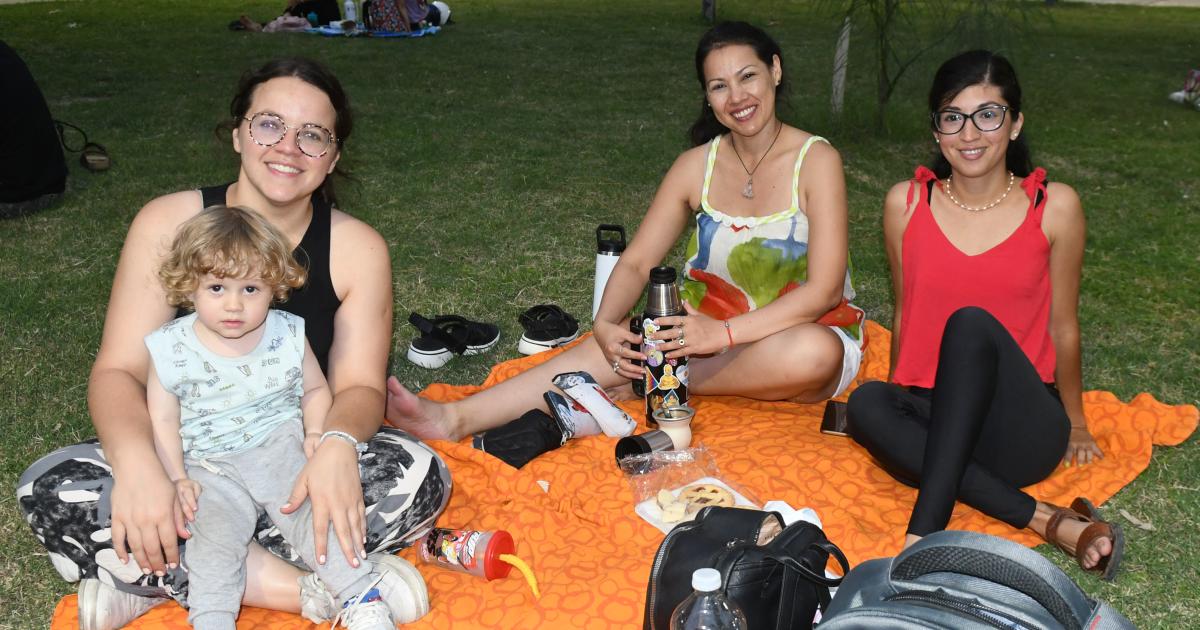 TARDES DE VERANO EN EL PARQUE 