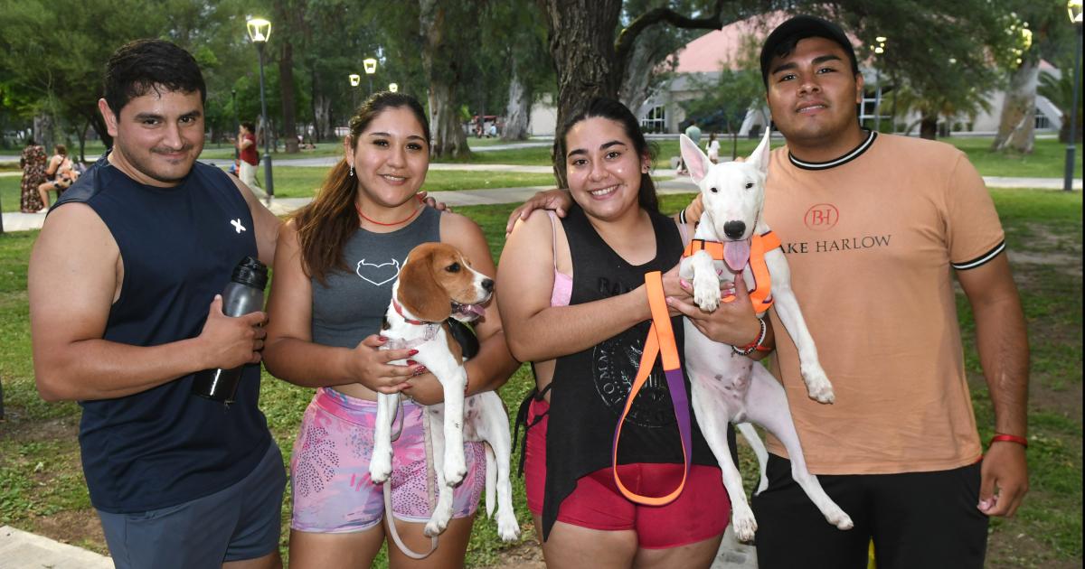 TARDES DE VERANO EN EL PARQUE 