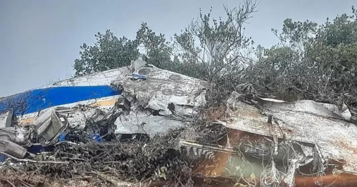 Foto- Infobae crédito Redes socialesX