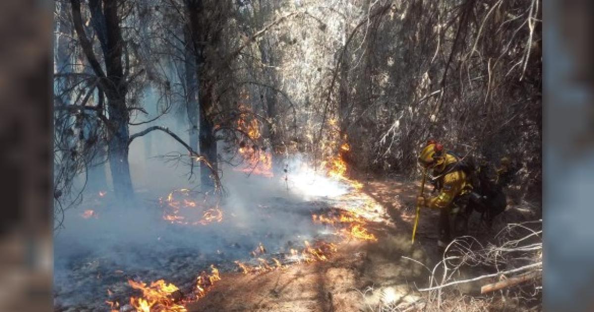Foto- Agencia NA (Gobierno)