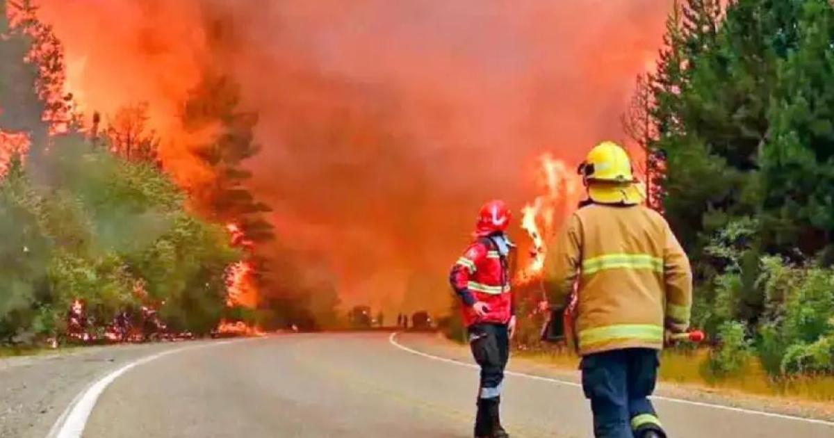 las hectreas arrasadas por el fuego en distintas provincias entre ellas La Pampa Neuquén Chubut Tierra del Fuego Santa Cruz y Río Negro - Foto- El Perfil