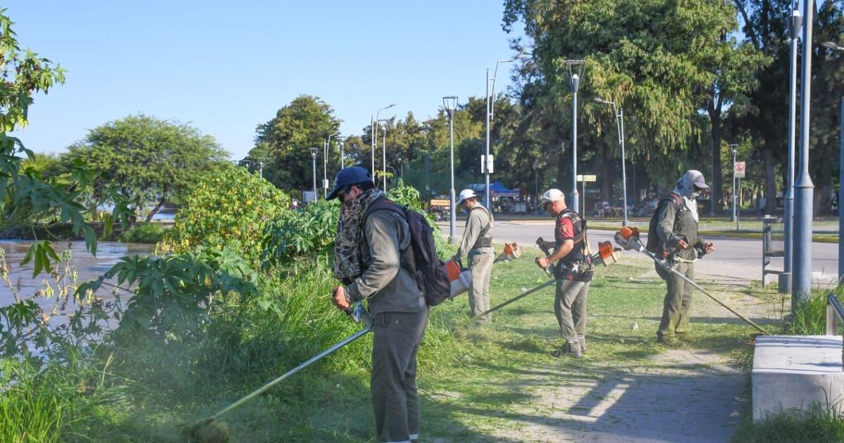 Operativo de desmalezamiento y limpieza en un sector de la Costanera