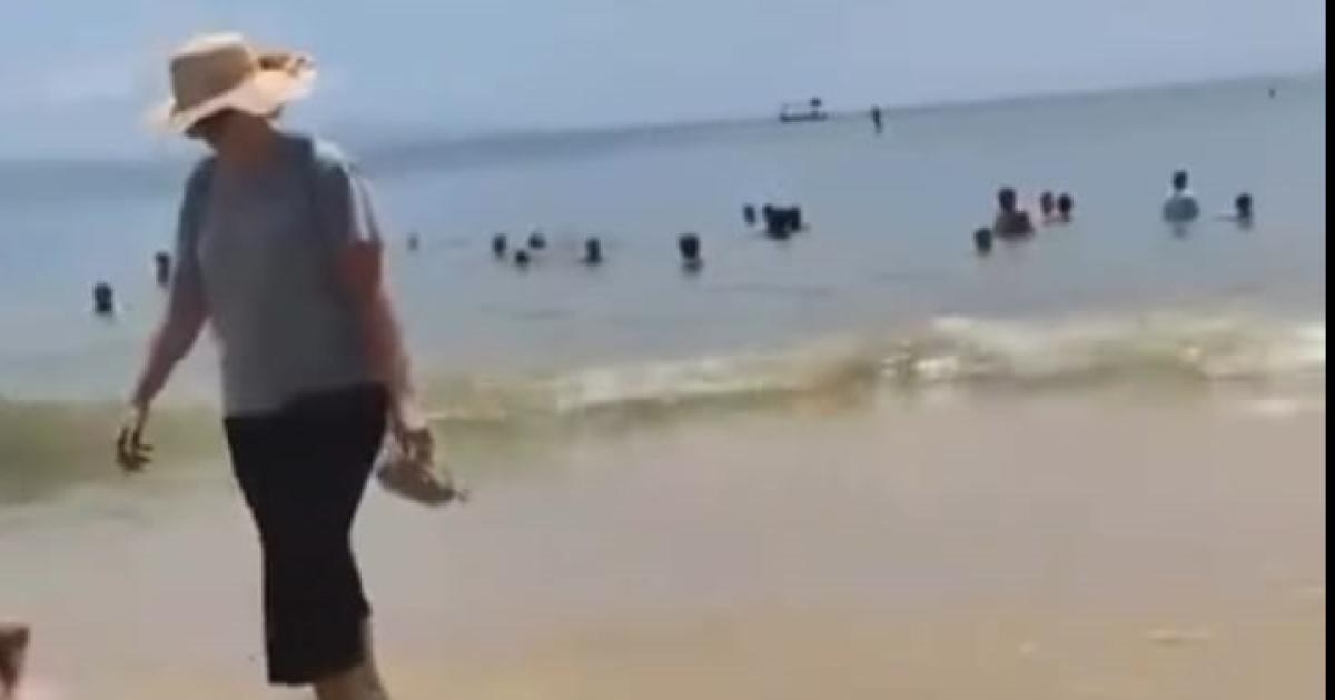 Seguacuten las redes Corti vacaciona en Brasil con Besitos lejos de sus culebrones judiciales