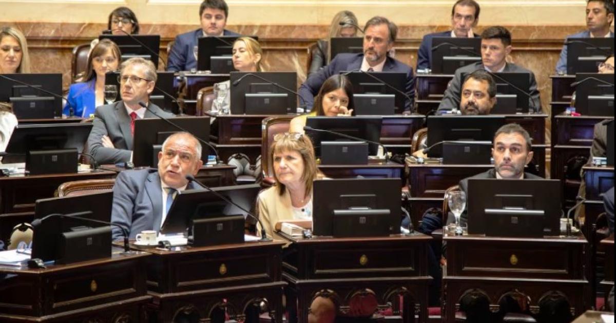 (Foto- X @PatoBullrich)http-srvgestor2GestorSDCMSimgobjects20260202171767jpg