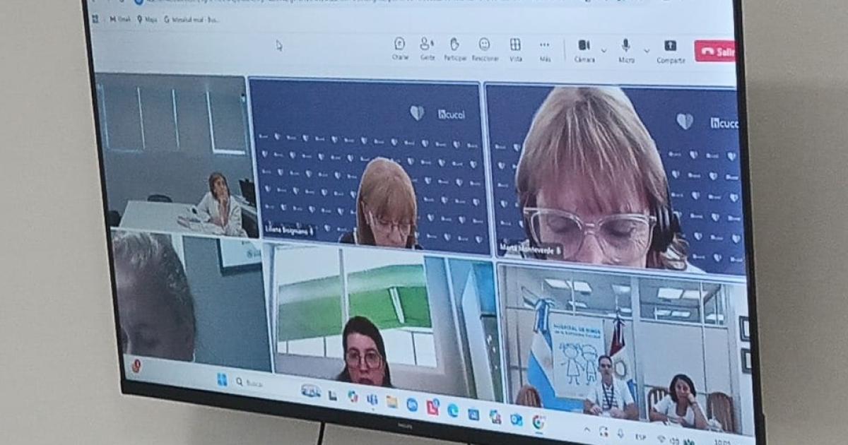 VIRTUAL La Dra María Eugenia Gauna durante el encuentro online con responsables del INCUCAI