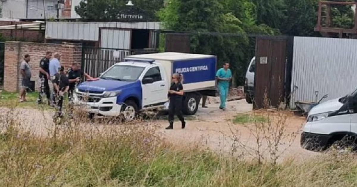 (Foto- La Capital de Mar del Plata)