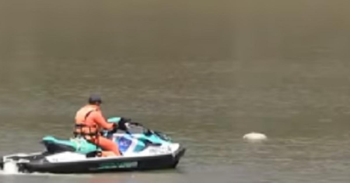 El hallazgo se produjo a la altura de la calle Pierina Dealessi - Foto- TN