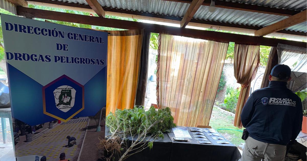 Secuestran cocaiacutena marihuana y 9 plantines de cannabis sativa en Pampa de los Guanacos