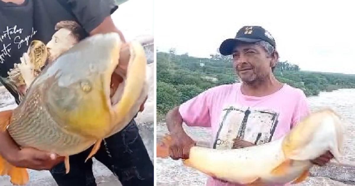 Desde Fauna subrayaron que estas medidas buscan desalentar la pesca ilegal y reforzar la protección de los recursos naturales- Foto captura del video