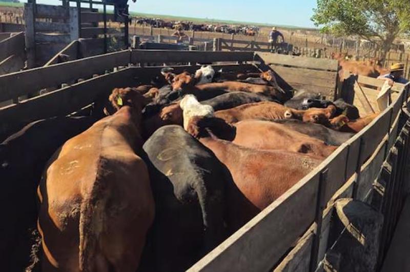 MILLONES- Si el negocio prosperaba hubiese representado una ganancia superior a los  120000000 La Fiscalía va tras los eslabones sueltos