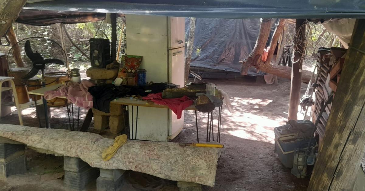 Allanamientos por drogas en La Banda- secuestran maacutes de mil plantas de marihuana y detienen a un hombre