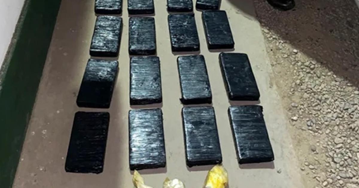 Foto- Agencia NA (Fiscalesgob)