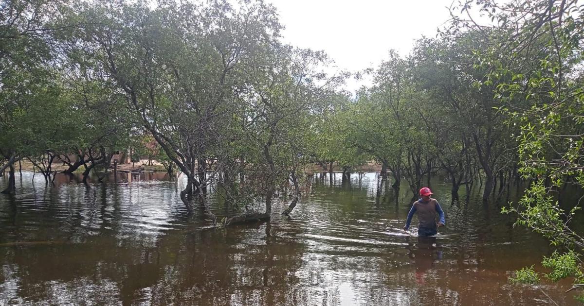 Amplio operativo en zonas afectadas por desbordes de los riacuteos Dulce y Utis