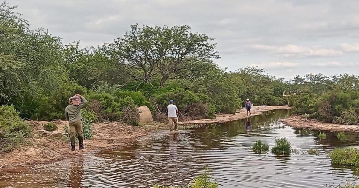 Amplio operativo en zonas afectadas por desbordes de los riacuteos Dulce y Utis