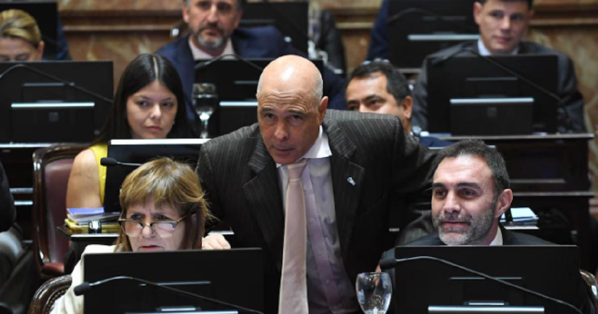 El oficialismo asegura contar con los votos necesarios para lograr la media sanción - Foto- Todo Noticias
