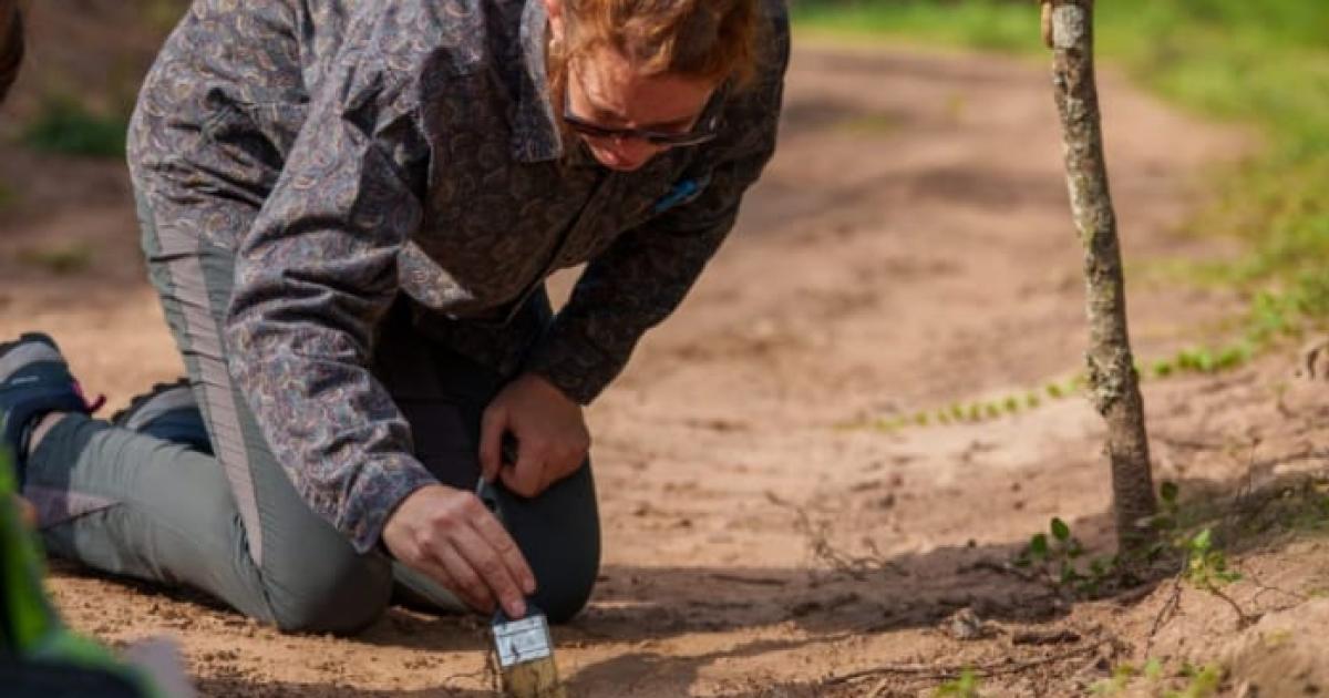 Rescataron restos arqueoloacutegicos en Guasayaacuten tras las uacuteltimas lluvias