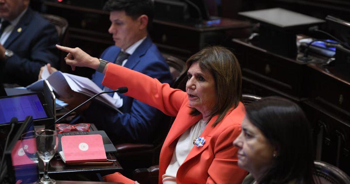 Patricia Bullrich coordina la estrategia parlamentaria (Foto- TN)