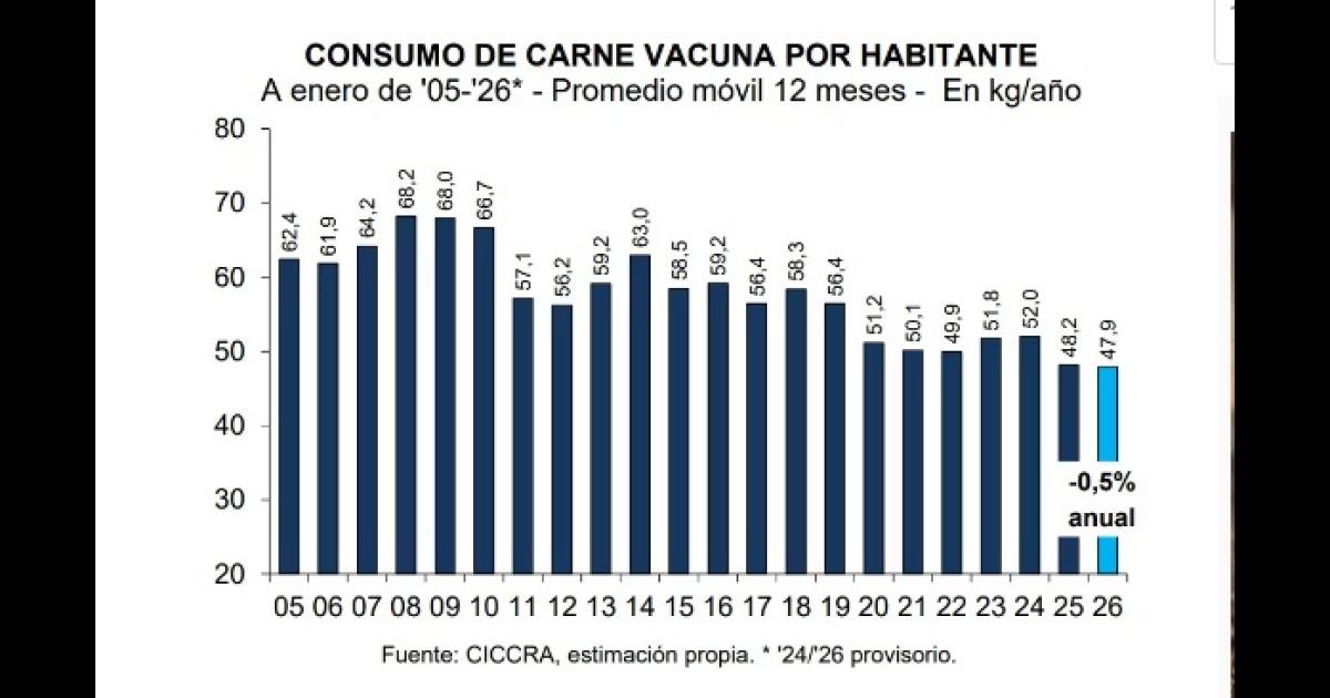 El consumo de carne vacuna bajoacute 13-en-porciento- a 479 kilogramos per caacutepita