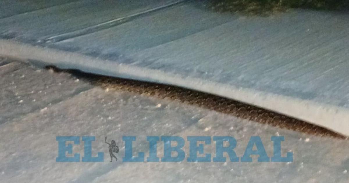 Sorpresa en la Costanera Sur- captaron en video a un lampalagua de casi tres metros