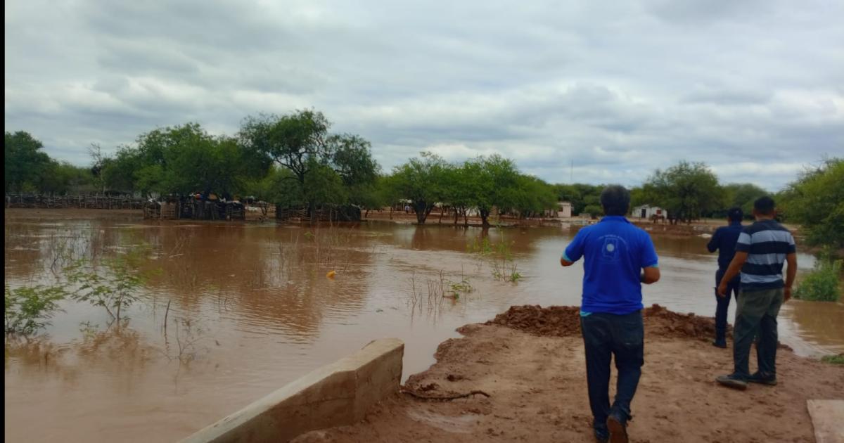 Desbordes del riacuteo Salado- aislaron a 85 familias