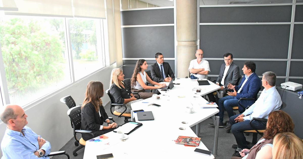 Plan Estrateacutegico de Ciencia Innovacioacuten y Tecnologiacutea 2026