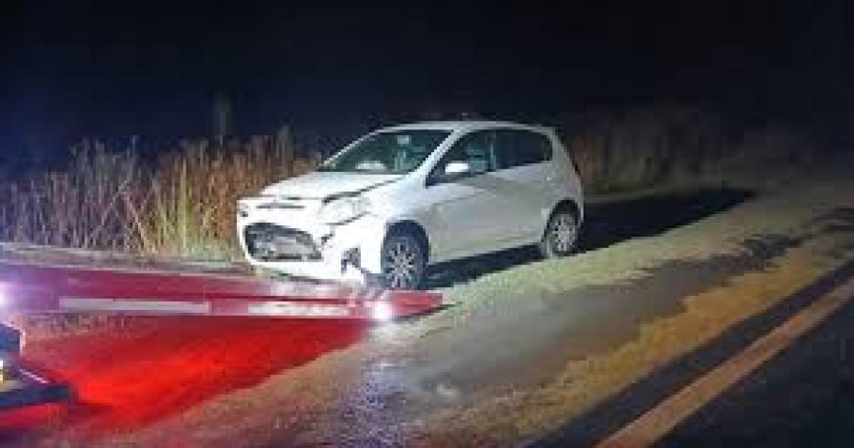 Intentoacute ayudar a un automovilista que habiacutea chocado a un carpincho y murioacute atropellado 