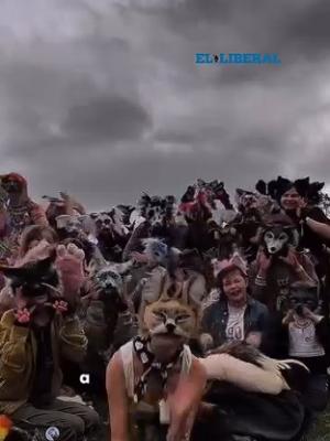 VIDEO  iquestSabiacuteas queacute son los Therians