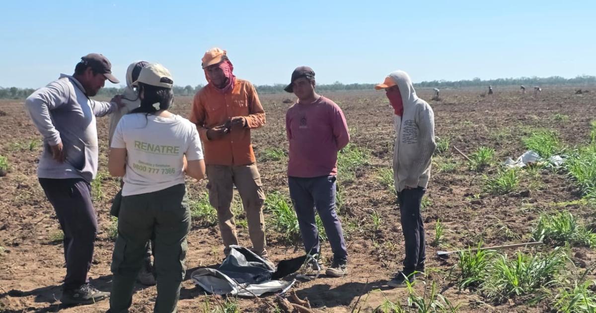 Detectan grave caso de trabajo en negro en un campo cercano a Antildeatuya