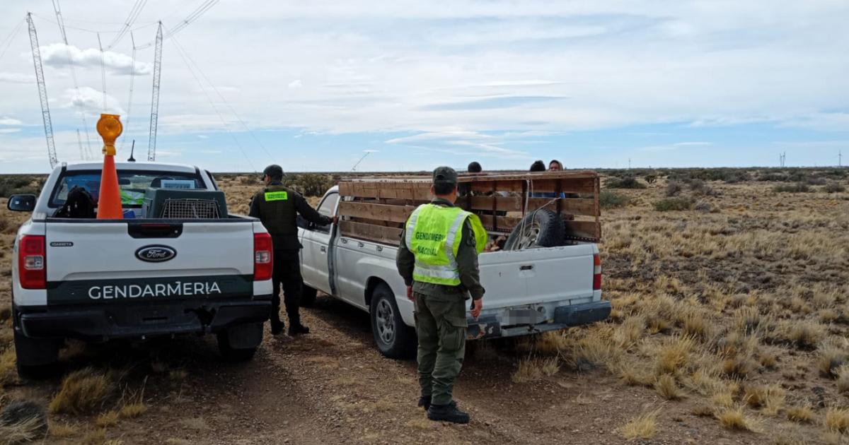 Gendarmes controlaban una camioneta cuando detectaron armas y animales sin vida
