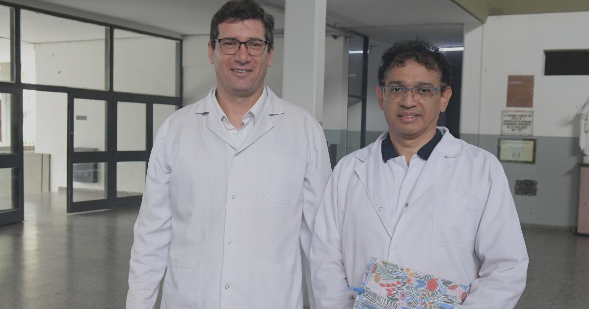 DOCENTES DE VUELTA A CLASES