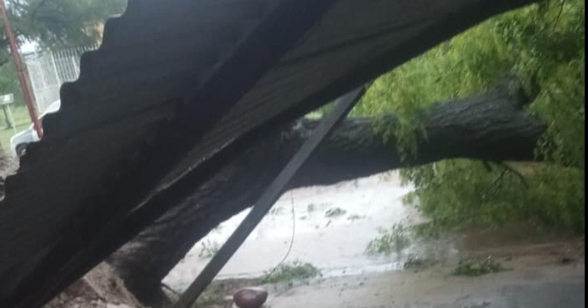 Un tornado provocoacute serios dantildeos en Termas y Santiago estaacute en alerta