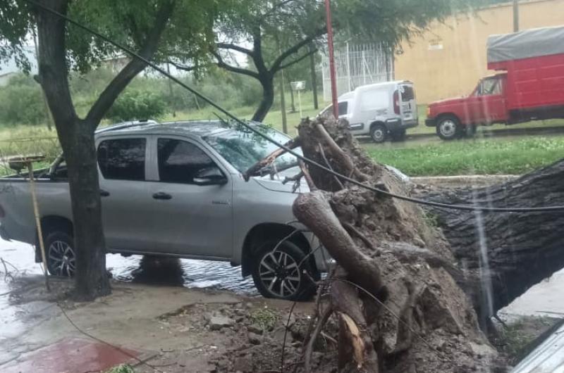 Un tornado provocoacute serios dantildeos en Termas y Santiago estaacute en alerta