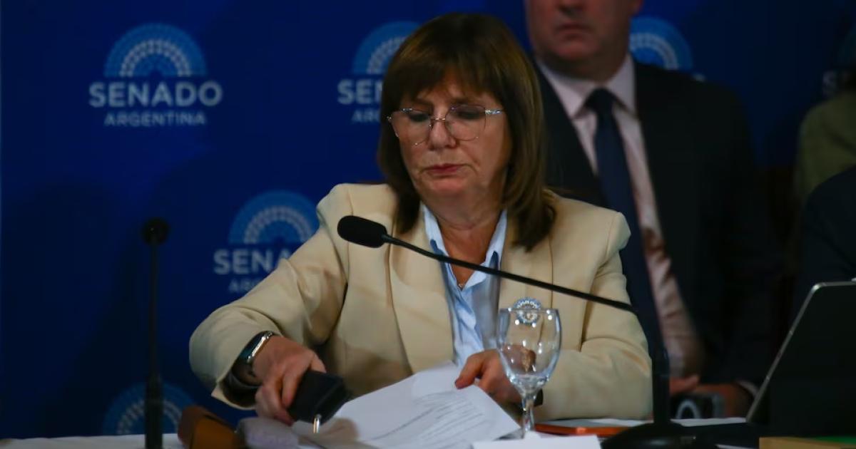 Patricia Bullrich (Fotografía- RSFotos)