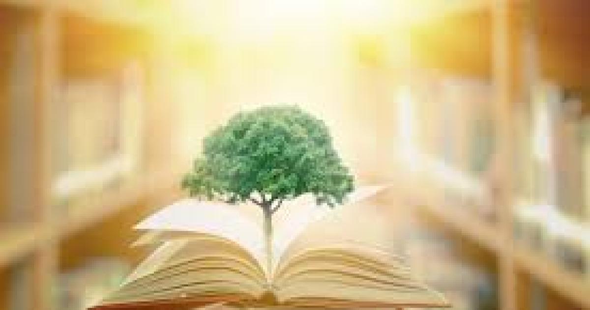 CURSO Ecología educación salud y legislación ambiental tem�tica que abordar�n los docentes de todas las �reas