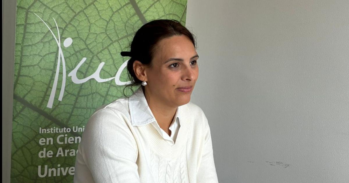 Investigadora de la Unse realiza una estancia acadeacutemica en Espantildea