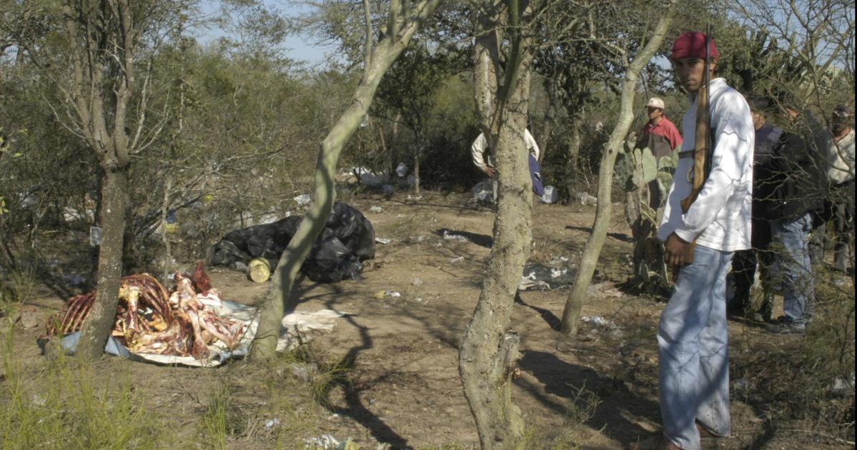 Cuatreros faenan un vacuno de 250 kilos en un campo y huyen