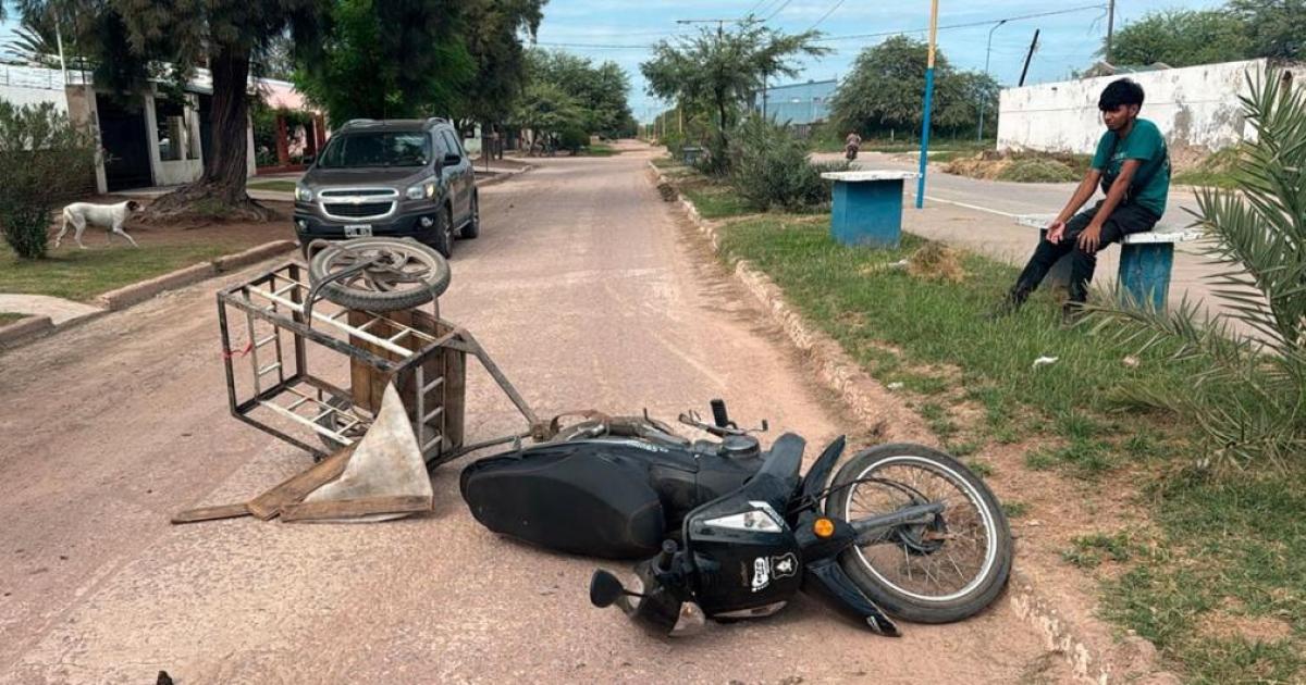 Repartidor atacado por dos perros en plena calle- cayoacute de la moto y sufrioacute mordeduras