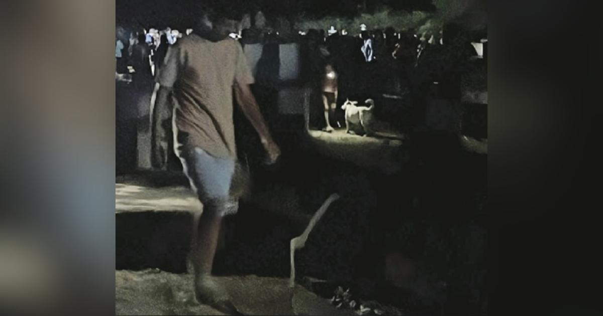 Persecucioacuten disparo por la espalda y tiro letal en la sien 