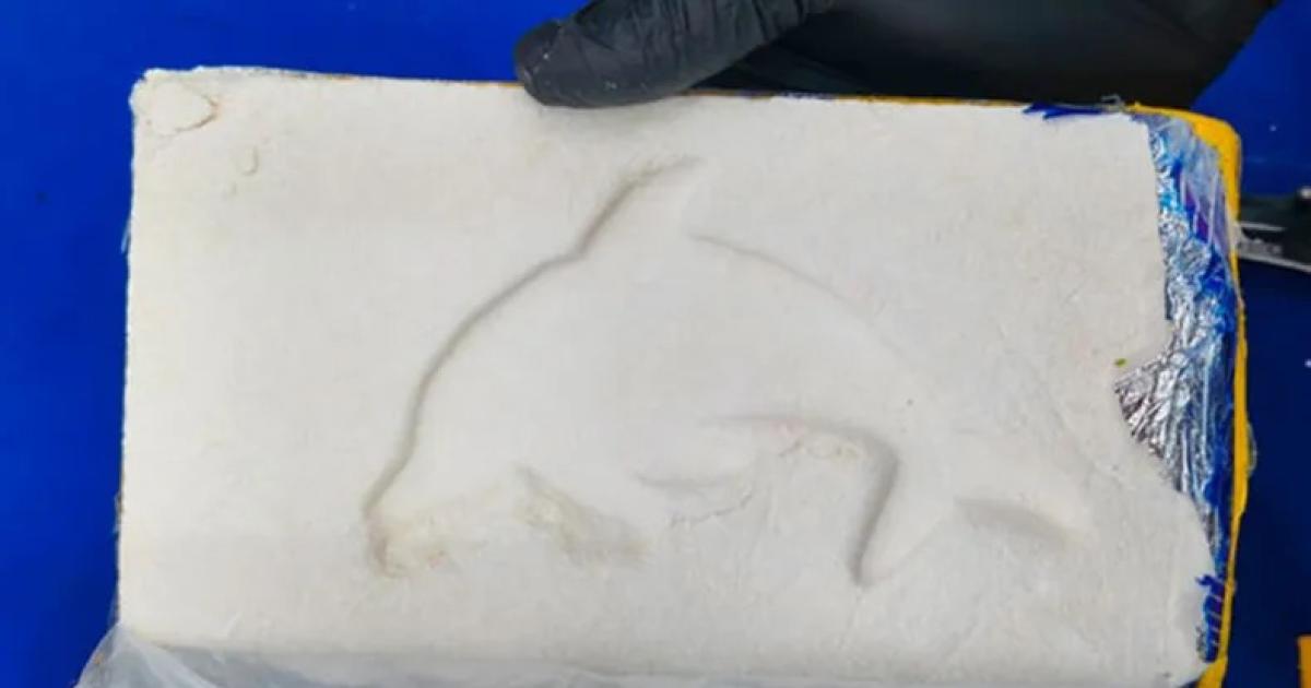 DELFÍN La droga est� vinculada al Patrón del Mal Imagen exclusiva de uno de los ladrillos secuestrados