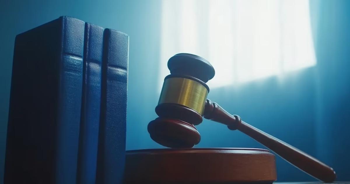 Humanizar a la Justicia- el desafiacuteo de pasar del expediente a la empatiacutea