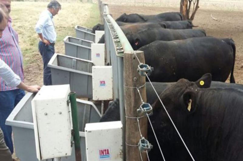 Quimiliacute seraacute sede mantildeana de una Jornada de Encuentro Ganadero