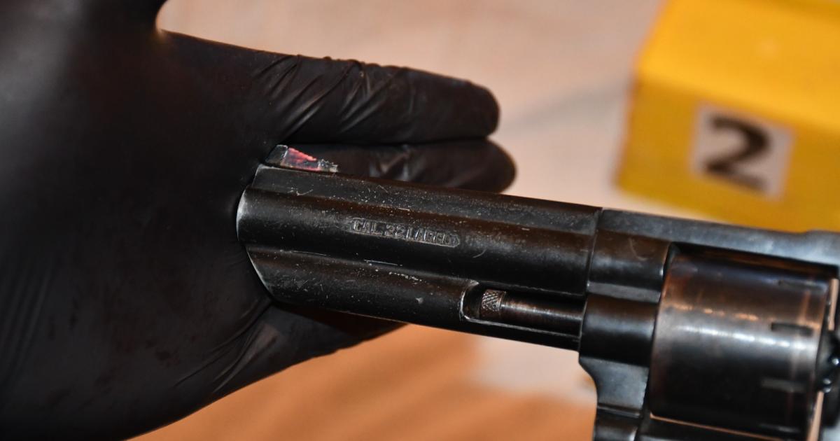 Un jubilado armado se presentoacute en la casa de su ex pareja y exigiacutea verla